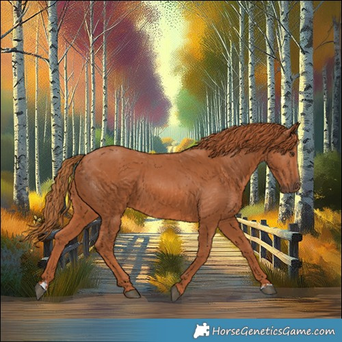 Horse Color:Chestnut 
