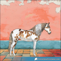 Horse Color:Gray Chocolate Palomino Dun Tobiano Appaloosa Brindle 