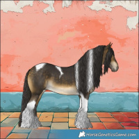 Horse Color:Buckskin Tobiano 