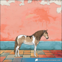 Horse Color:Gray Liver Red Dun Tobiano 