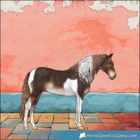Horse Color:Liver Chestnut Tobiano