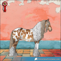 Horse Color:Gray Chocolate Palomino Dun Tobiano Near Leopard Brindle