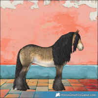 Horse Color:Buckskin Dun