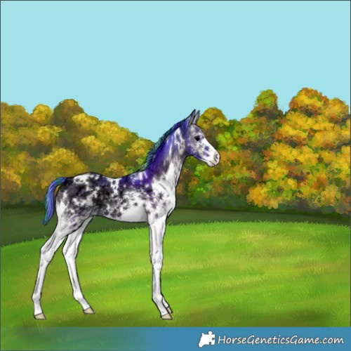 Horse Color:Painted Watercolor White Spotted Brown Ice Onyx 