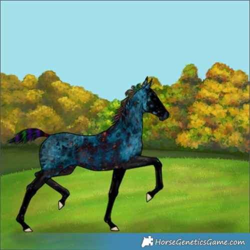 Horse Color:ERROR: UNKNOWN ANOMALY