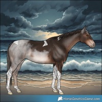 Horse Color:Liver Chestnut Tobiano Rabicano 