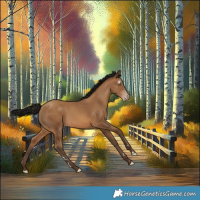 Horse Color:Gray Amber Champagne 