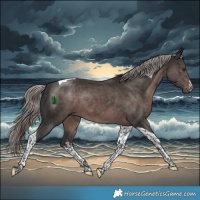 Horse Color:Platinum White Spotted Liver Chestnut Tobiano 