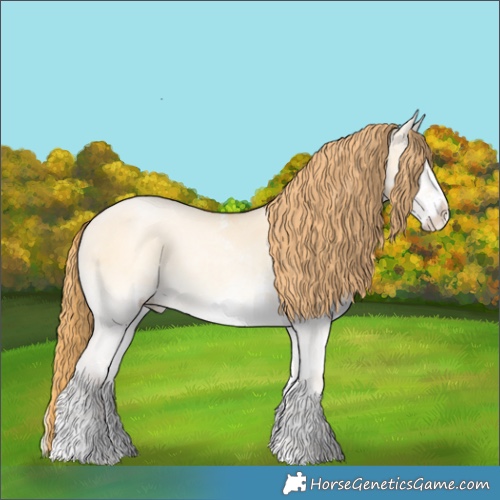 Horse Color:White Spotted Buckskin Pearl Onyx 