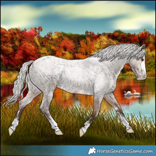 Horse Color:Powder White Silver Brown Roan Dun 