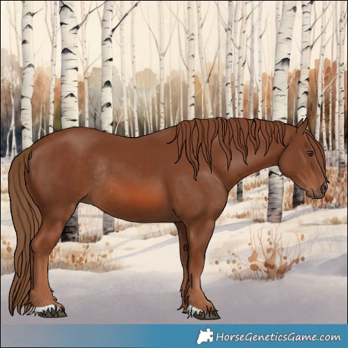 Horse Color:Chestnut Rabicano 