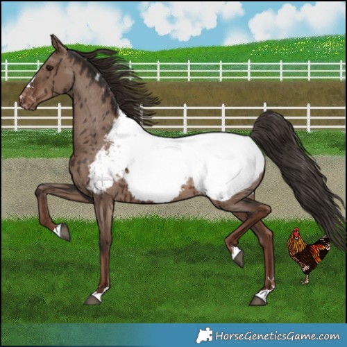 Horse Color:Liver Red Dun Near Fewspot Brindle 