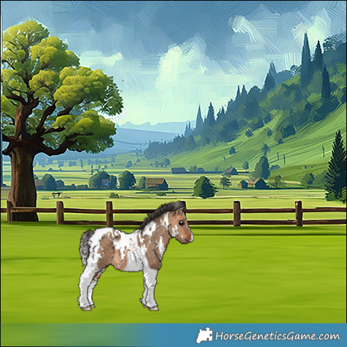 Horse Color:White Spotted Bay Dun Tobiano