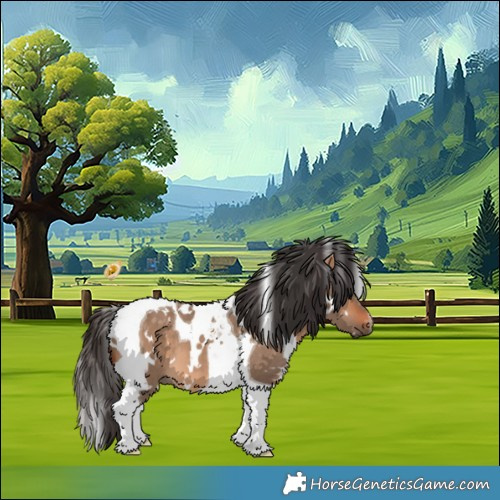 Horse Color:White Spotted Bay Dun Tobiano 