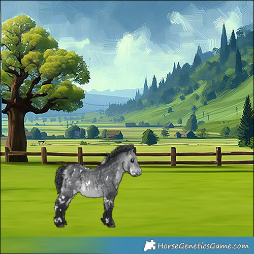 Horse Color:White Spotted Bay Chinchilla