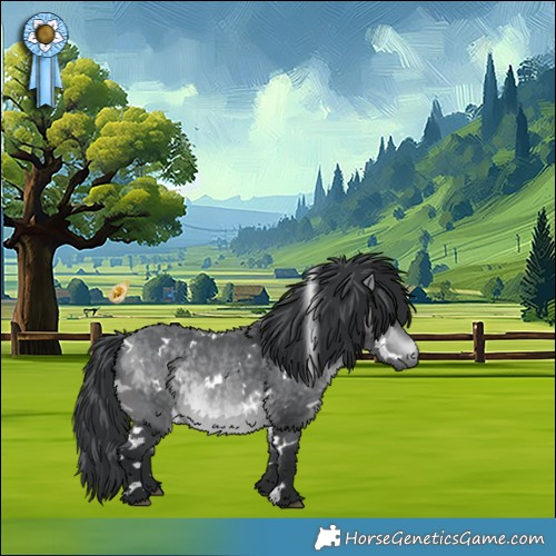 Horse Color:White Spotted Bay Chinchilla 