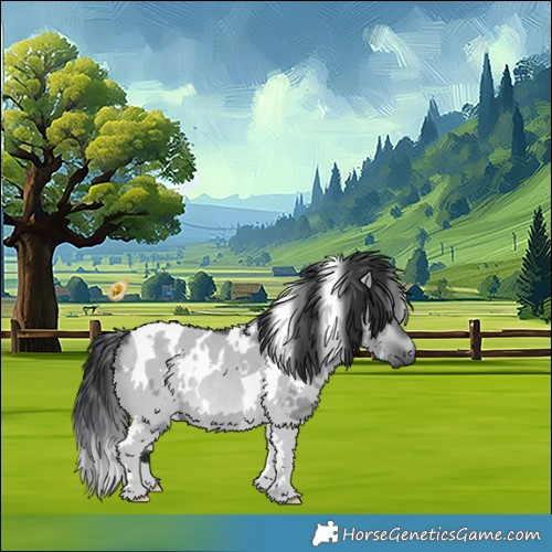 Horse Color:White Spotted Brown Chinchilla Dun Tobiano Rabicano 