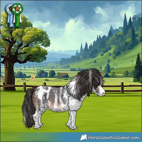 Horse Color:White Spotted Brown Appaloosa