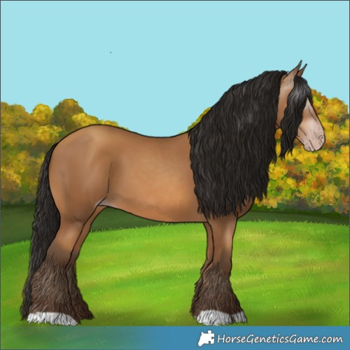 Horse Color:Gray Amber Champagne 