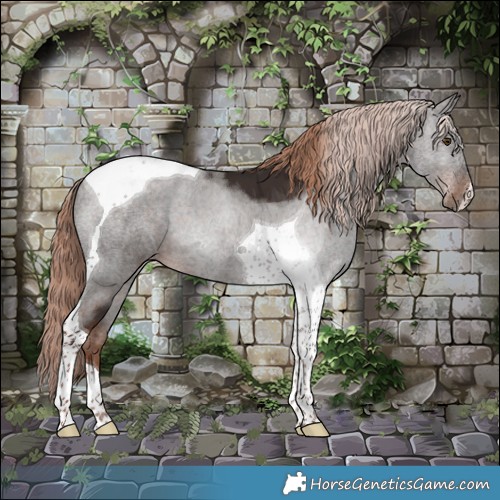 Horse Color:Liver Chestnut Tobiano 