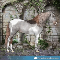 Horse Color:Liver Chestnut Tobiano