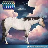 Horse Color:Bay Roan Dun 