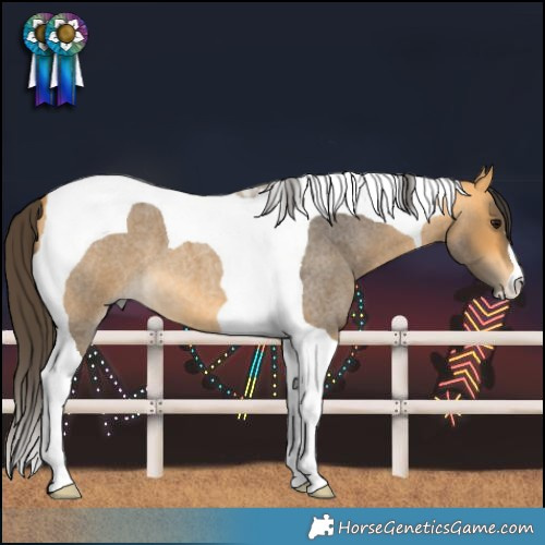 Horse Color:Buckskin Roan Tobiano 