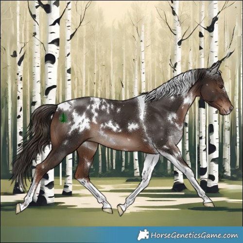 Horse Color:White Spotted Liver Chestnut Tobiano 