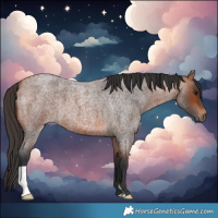 Horse Color:Bay Roan 