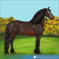 Horse Color:Gray Bay 