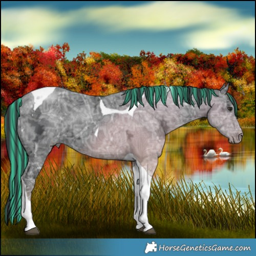 Horse Color:Painted Black Chinchilla Ice Tobiano 