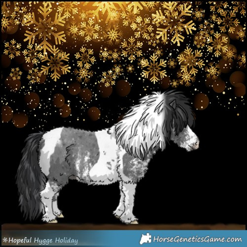Horse Color:Black Sabino Tobiano Rabicano 