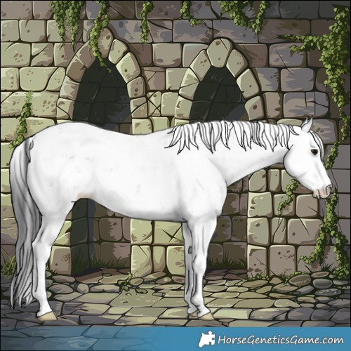 Horse Color:Grullo Ice Sabino