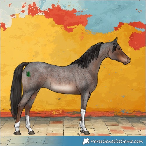 Horse Color:Liver Red Roan Tobiano 