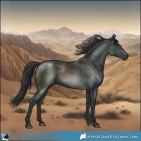 Horse Color:Black Mushroom Rabicano 