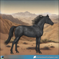 Horse Color:Black Mushroom Rabicano 