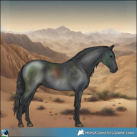 Horse Color:Black Mushroom Rabicano