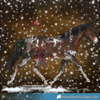 Horse Color:White Spotted Liver Chestnut Rabicano 