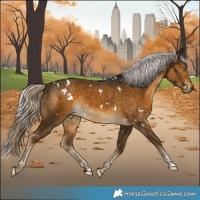 Horse Color:White Spotted Chocolate Palomino Rabicano 