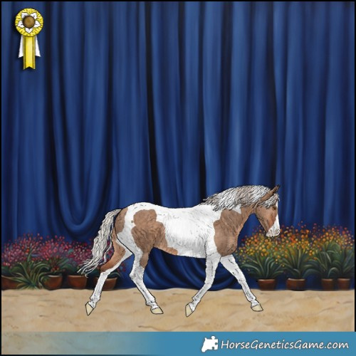 Horse Color:Silver Bay Dun Tobiano Brindle 