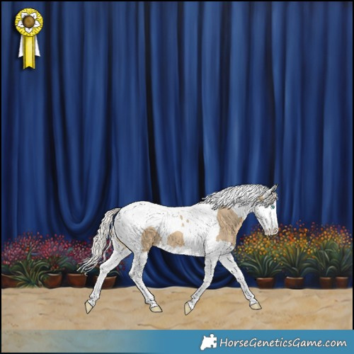 Horse Color:Silver Buckskin Dun Splash Tobiano 