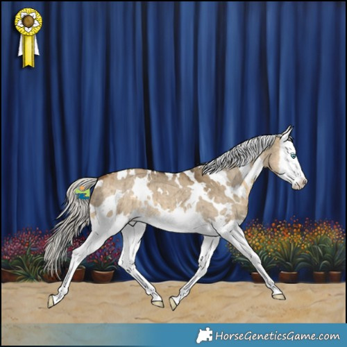Horse Color:White Spotted Silver Buckskin Dun Splash Brindle 