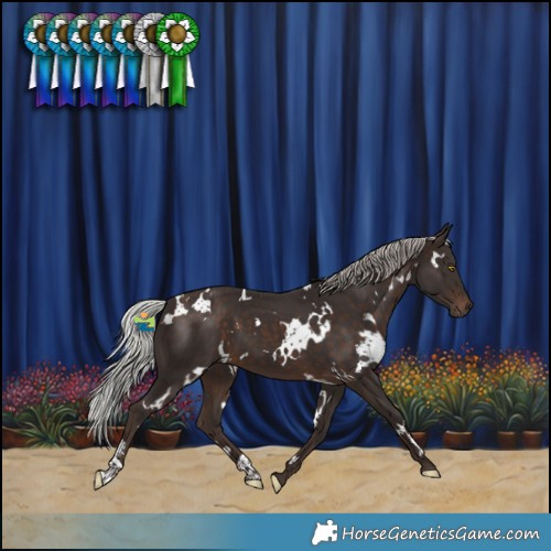 Horse Color:White Spotted Silver Brown 