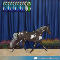 Horse Color:White Spotted Silver Brown 