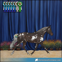 Horse Color:White Spotted Silver Brown
