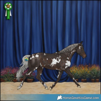 Horse Color:White Spotted Silver Brown