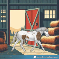 Horse Color:Silver Buckskin Splash Tobiano