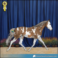 Horse Color:White Spotted Chocolate Palomino Splash 