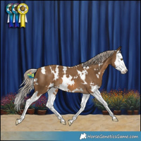Horse Color:White Spotted Chocolate Palomino Splash