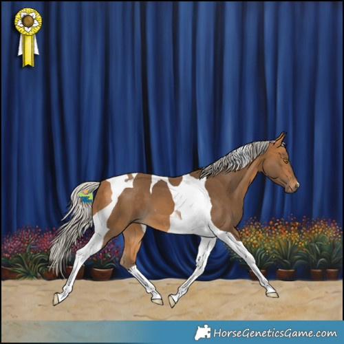 Horse Color:Silver Buckskin Tobiano 